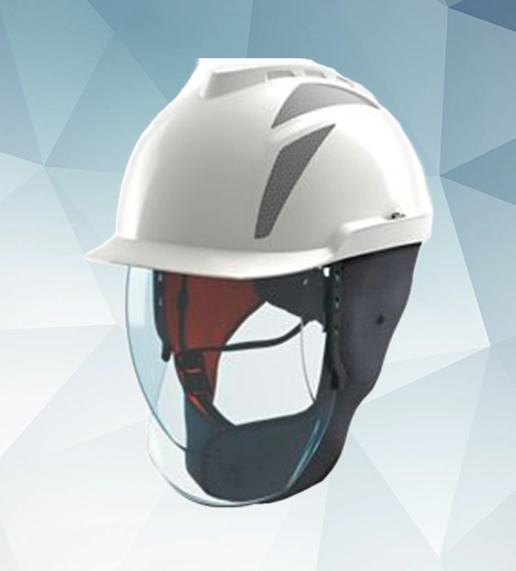 Head:Face Protection